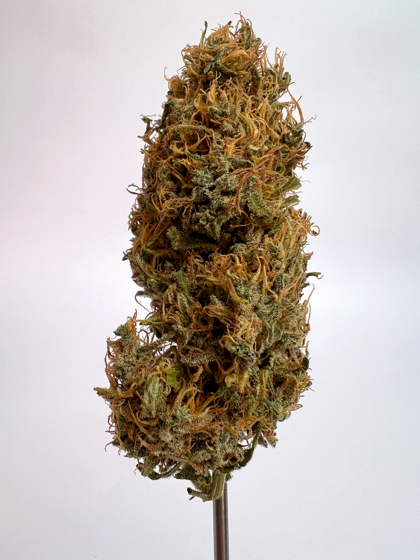 Blue Dream